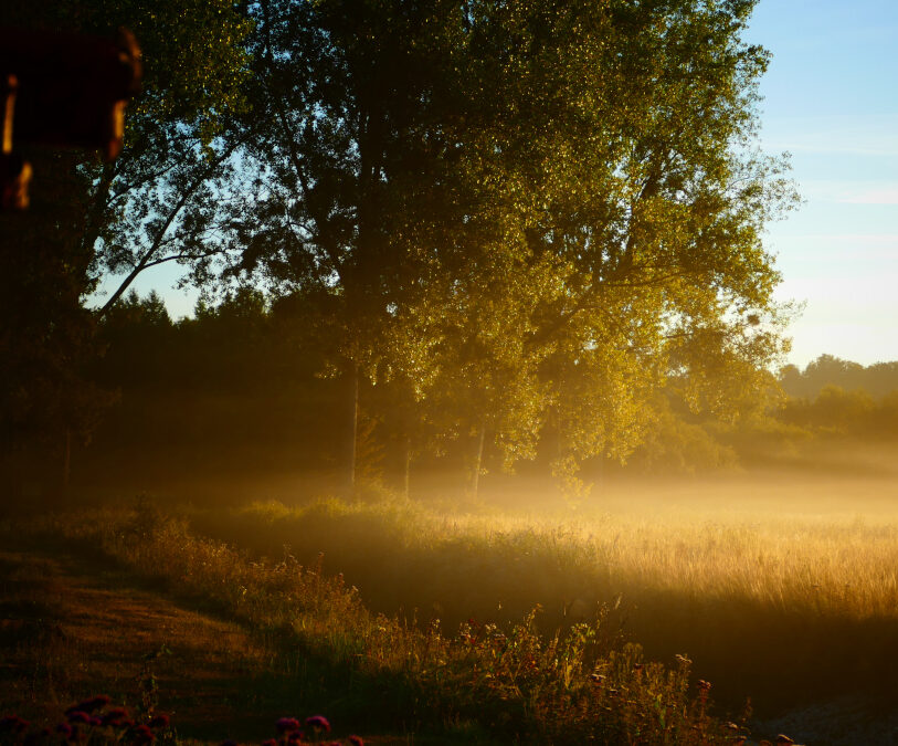 MARCHE DU TEMPS PROFOND