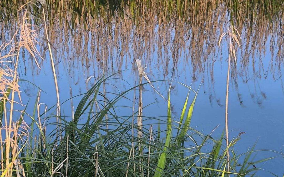 STAGE L&rsquo;ÂME DE LA TERRE