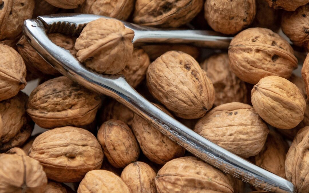 Après-midi Casse-noix